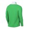 Nike Academy Pro 24 Drill Top Grün F329 - gruen