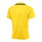 Nike Academy Pro 24 Poloshirt Gelb F719 - gelb