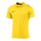 Nike Academy Pro 24 Poloshirt Gelb F719 - gelb