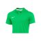 Nike Academy Pro 24 Poloshirt Grün F329 - gruen