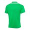 Nike Academy Pro 24 Poloshirt Kids Grün F329 - gruen