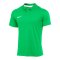 Nike Academy Pro 24 Poloshirt Kids Grün F329 - gruen