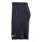 Nike Academy Pro 24 Short Blau F451 - blau