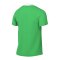 Nike Academy Pro 24 Trainingsshirt Grün Weiss F329 - gruen