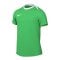 Nike Academy Pro 24 Trainingsshirt Grün Weiss F329 - gruen