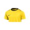 Nike Academy Pro 24 Trainingsshirt Kids Gelb F719 - gelb
