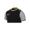 Nike Academy Pro 24 Trainingsshirt Schwarz F011 - schwarz