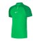 Nike Academy Pro Poloshirt Grün Weiss F329 - gruen