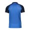 Nike Academy Pro Poloshirt Kids Blau F463 - blau