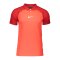 Nike Academy Pro Poloshirt Rot Weiss F635 - rot