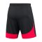 Nike Academy Pro Training Short Schwarz Rot F013 - schwarz