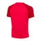 Nike Academy Pro Trainingsshirt Rot Weiss F635 - rot