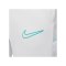 Nike Academy Trainingshose Kids Grau F025 - grau