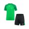 Nike Academy Trainingsset Kids Grün F329 - gruen