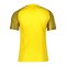 Nike Academy Trikot Kids Gelb Schwarz F719 - gelb