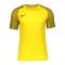 Nike Academy Trikot Gelb Schwarz F719 - gelb