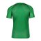 Nike Academy Trikot Grün Weiss F302 - gruen
