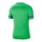 Nike Academy 21 T-Shirt Grün Weiss F362 - gruen