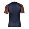 Nike Academy Trikot Kids Blau Rot F411 - blau