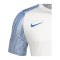 Nike Academy Trikot Kids Weiss Blau F102 - weiss