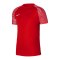 Nike Academy Trikot Rot Weiss F657 - rot