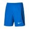 Nike ADV Vaporknit IV Short Blau F463 - dunkelblau
