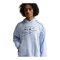 Nike Air PO Hoody Blau F407 - blau