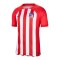 Nike Atletico Madrid Trikot Home 2023/2024 Rot F613 - rot