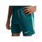 Nike CBF Brasilien Academy Pro Short Kids Grün F381 - gruen