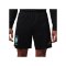 Nike CBF Brasilien Academy Pro Short Schwarz F010 - schwarz