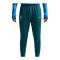 Nike CBF Brasilien Trainingshose Grün F381 - gruen