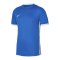 Nike Challenge IV Trikot Blau Weiss F463 - blau
