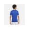 Nike Challenge IV Trikot Kids Blau Weiss F463 - blau