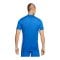 Nike Challenge V Trikot Blau Weiss F463 - blau