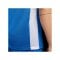 Nike Challenge V Trikot Blau Weiss F463 - blau