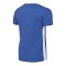 Nike Challenge V Trikot Kids Blau Weiss F463 - blau