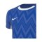 Nike Challenge V Trikot Kids Blau Weiss F463 - blau