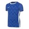 Nike Challenge V Trikot Kids Blau Weiss F463 - blau
