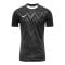 Nike Challenge V Trikot Schwarz Weiss F010 - schwarz