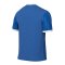 Nike Challenge VI Trikot Kids Blau F463 - blau