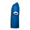 Nike Challenge VI Trikot Kids Blau F463 - blau