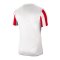 Nike Division IV Striped Trikot kurzarm Kids F104 - weiss
