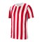 Nike Division IV Striped Trikot kurzarm Kids F104 - weiss