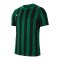 Nike Division IV Striped Trikot kurzarm Kids F302 - gruen