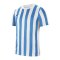 Nike Division IV Striped Trikot kurzarm Weiss F103 - weiss
