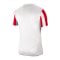 Nike Division IV Striped Trikot kurzarm Weiss F104 - weiss