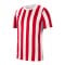 Nike Division IV Striped Trikot kurzarm Weiss F104 - weiss