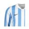 Nike Division IV Striped Trikot langarm Kids F103 - weiss