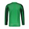 Nike Division IV Striped Trikot langarm Kids F302 - gruen