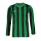 Nike Division IV Striped Trikot langarm Kids F302 - gruen